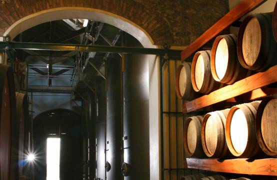 Houten vaten en tanks in de kelder